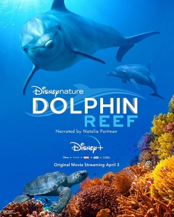watch Dolphin Reef