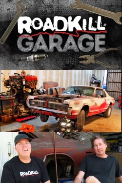 watch Roadkill Garage