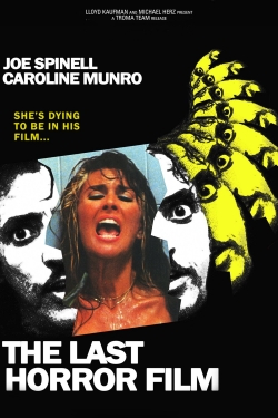 watch The Last Horror Film