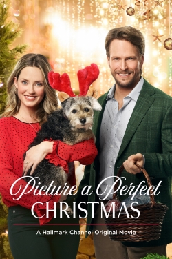 watch Picture a Perfect Christmas