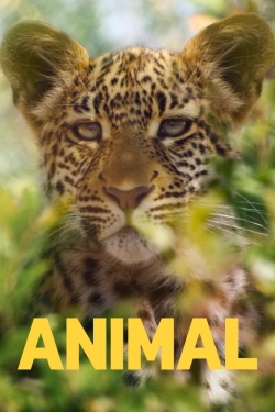 watch Animal