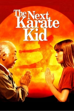 watch The Next Karate Kid