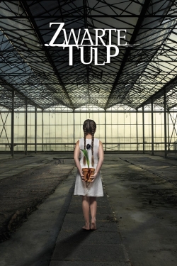 watch Black Tulip