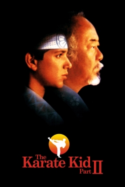 watch The Karate Kid Part II