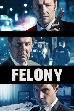watch Felony