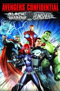 watch Avengers Confidential: Black Widow & Punisher