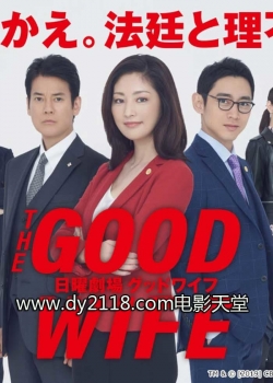 watch The Good Wife