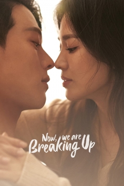 watch Now, We Are Breaking Up