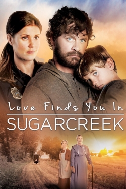 watch Love Finds You In Sugarcreek