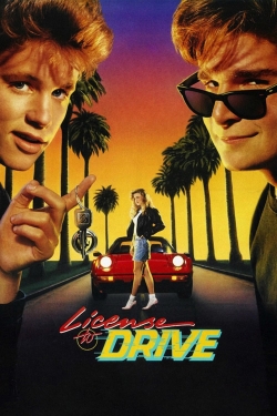 watch License to Drive