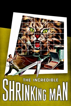 watch The Incredible Shrinking Man