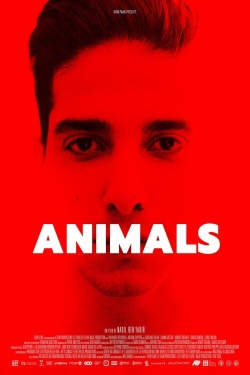 watch Animals