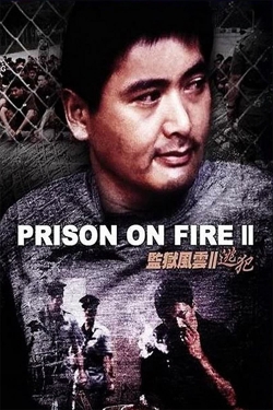 watch Prison on Fire II