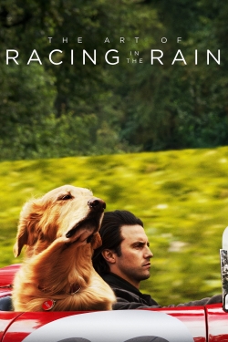 watch The Art of Racing in the Rain