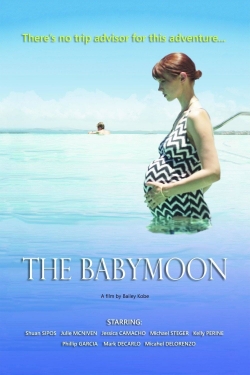 watch The Babymoon