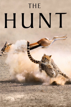 watch The Hunt