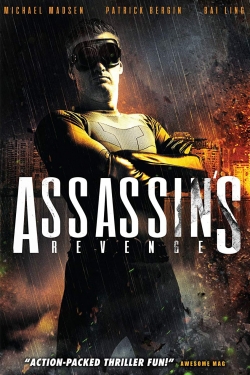 watch Assassins Revenge