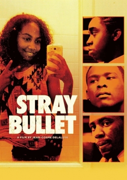 watch Stray Bullet