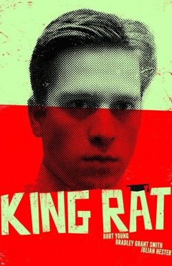watch King Rat