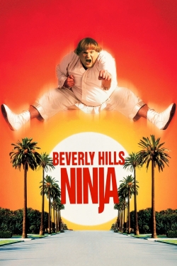 watch Beverly Hills Ninja