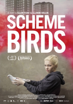 watch Scheme Birds