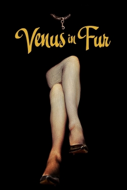 watch Venus in Fur