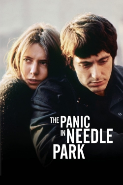 watch The Panic in Needle Park