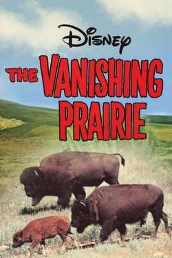 watch The Vanishing Prairie