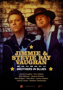watch Jimmie & Stevie Ray Vaughan: Brothers in Blues