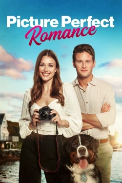 watch Picture Perfect Romance