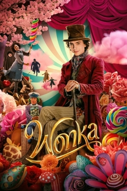 watch Wonka