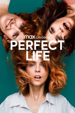 watch Perfect Life