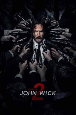 watch John Wick: Chapter 2