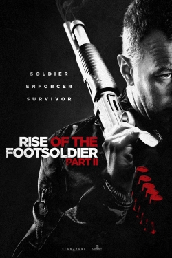 watch Rise of the Footsoldier Part II