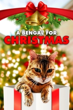 watch A Bengal for Christmas