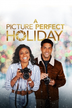 watch A Picture Perfect Holiday