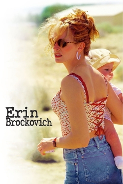 watch Erin Brockovich