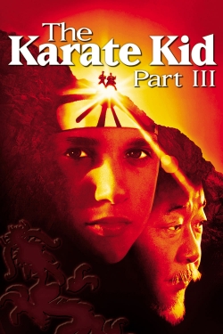 watch The Karate Kid Part III