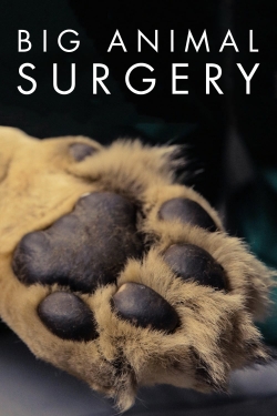 watch Big Animal Surgery