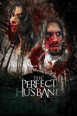 watch The Perfect Husband
