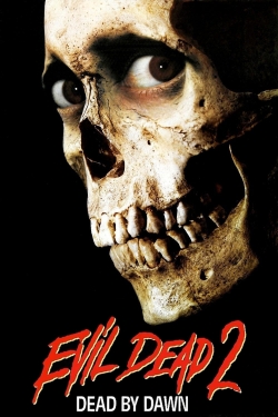 watch Evil Dead II