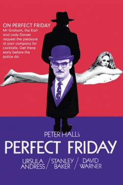 watch Perfect Friday