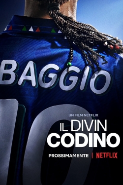 watch Baggio: The Divine Ponytail