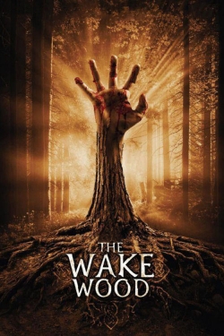 watch Wake Wood