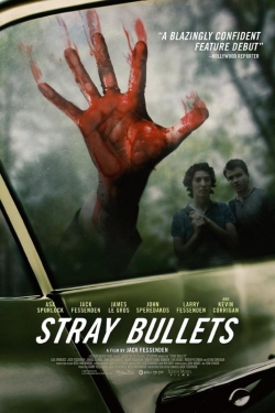 watch Stray Bullets