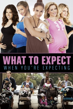 watch What to Expect When You're Expecting