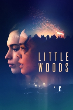 watch Little Woods