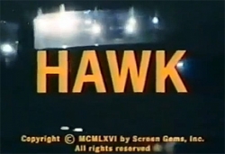 watch Hawk