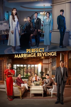 watch Perfect Marriage Revenge