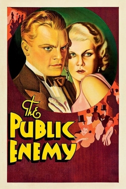 watch The Public Enemy